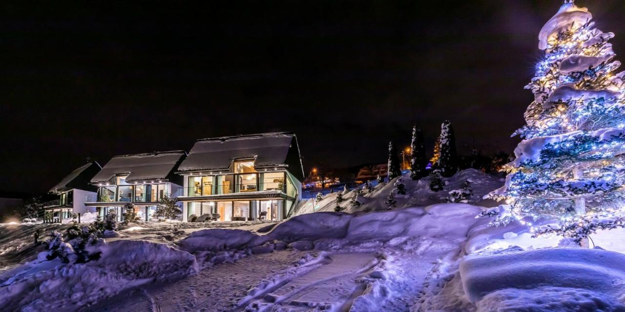 Udanypobyt Omg Houses Villa Kościelisko Eksteriør bilde